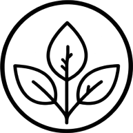 files/Mask_group_2.png